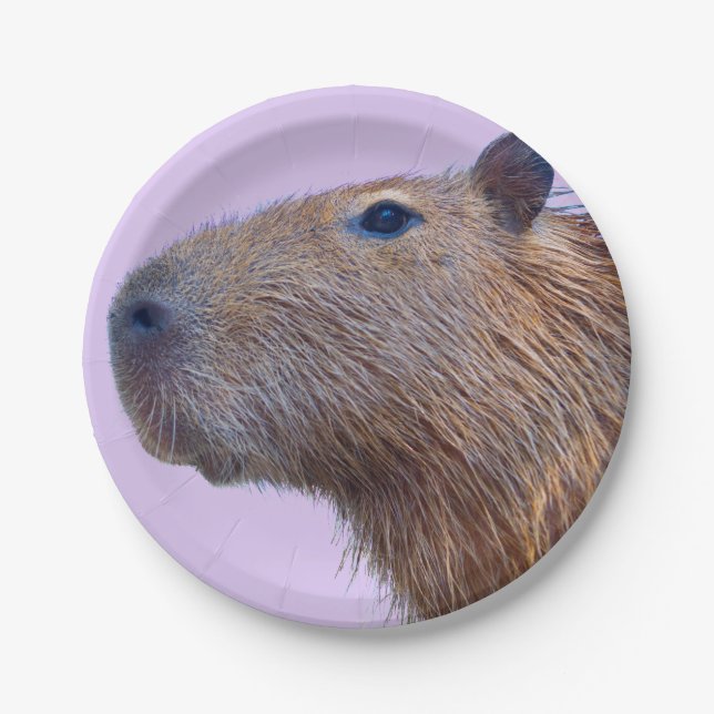 Capybara Pappteller (Vorderseite)