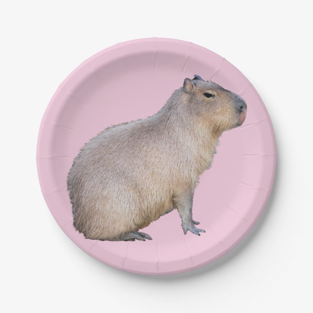 Capybara Pappteller (Vorderseite)