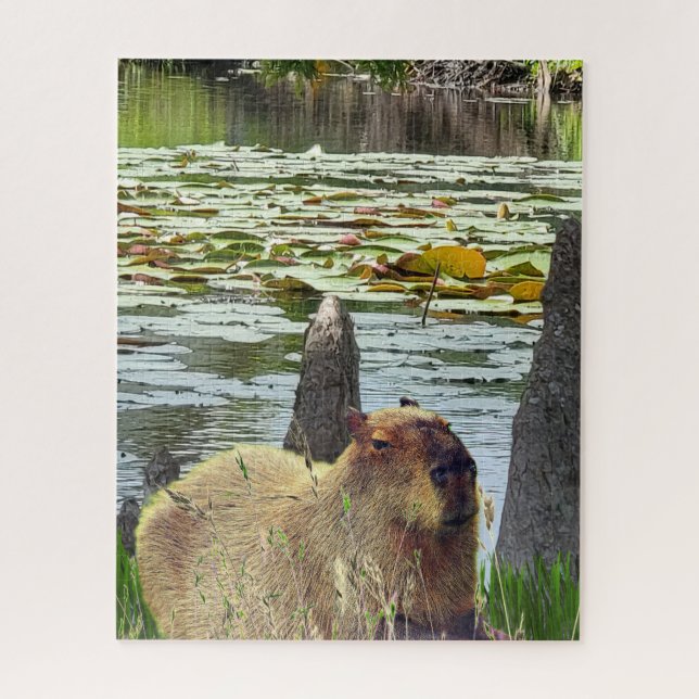 Capybara - Pneumatophoren - Wildtiere (Vertikal)