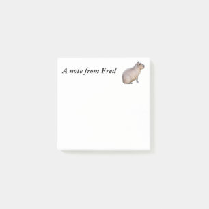 Capybara Post-it Klebezettel
