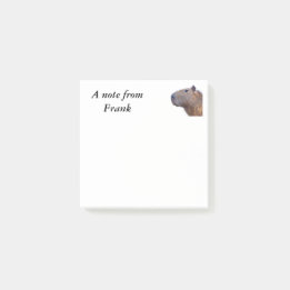 Capybara Post-it Klebezettel