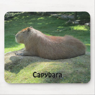 Capybara - Riesenrodent Mousepad