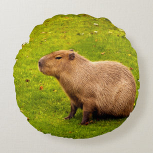 Capybara Rundes Kissen