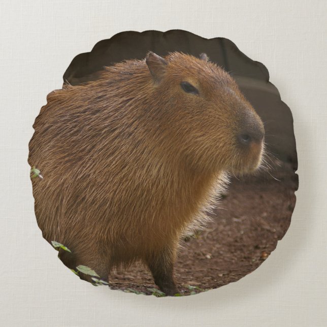 Capybara Rundes Kissen (Vorderseite)