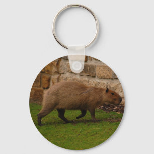 Capybara Schlüsselanhänger