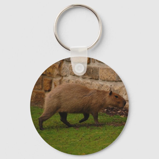 Capybara Schlüsselanhänger (Vorderseite)