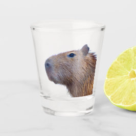 Capybara Schnapsglas