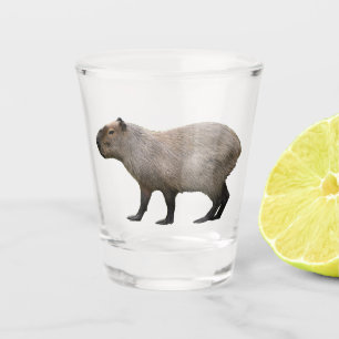 Capybara Schnapsglas