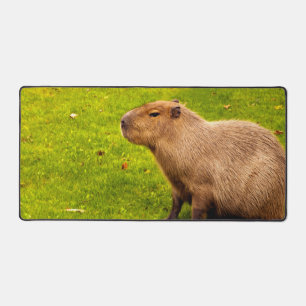 Capybara Schreibtischunterlage