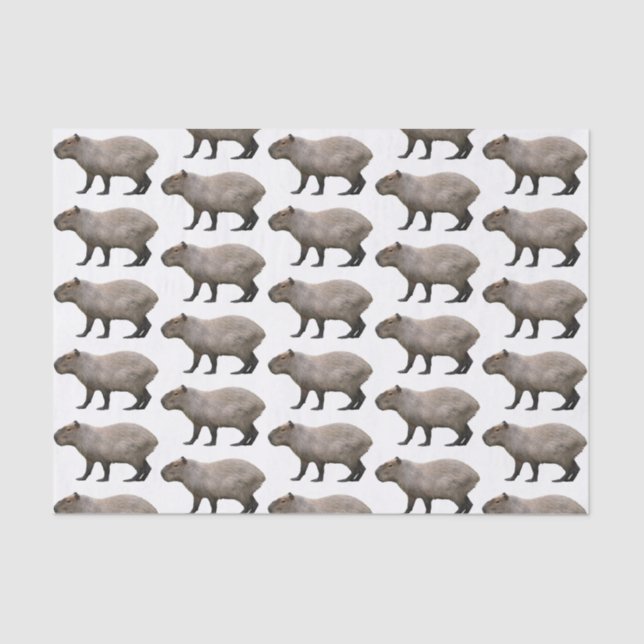Capybara Seidenpapier (Vorderseite)