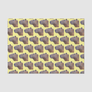 Capybara Seidenpapier