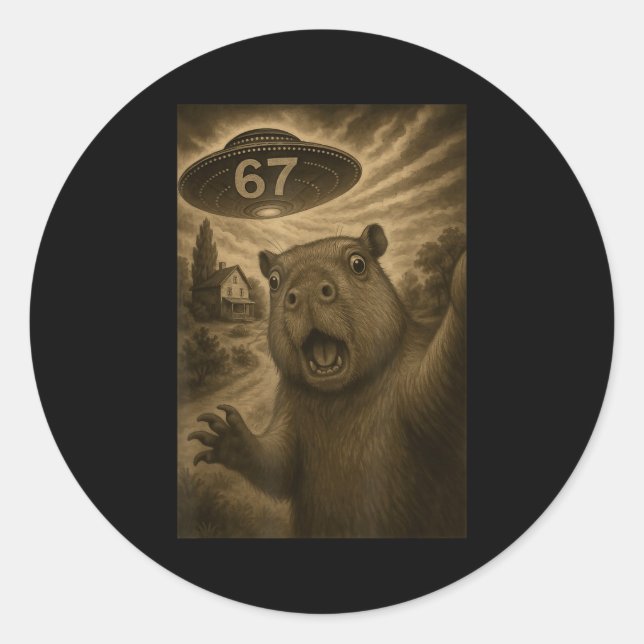 Capybara Selfie 67 Meme Six Seven Funny Ufo  Runder Aufkleber (Vorderseite)