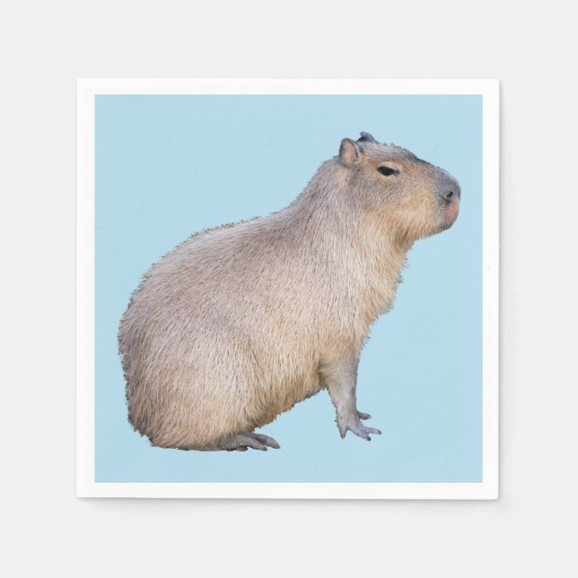 Capybara Serviette (Vorderseite)