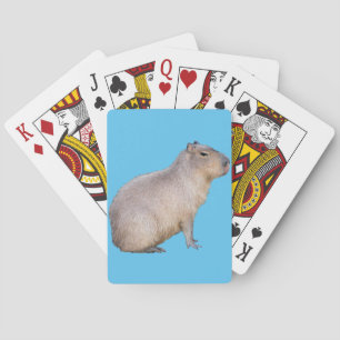 Capybara Spielkarten