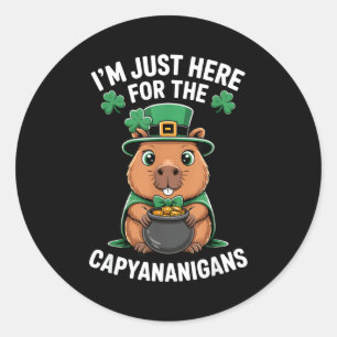 Capybara St. Patricks Day Glücksklee-Topf aus Runder Aufkleber