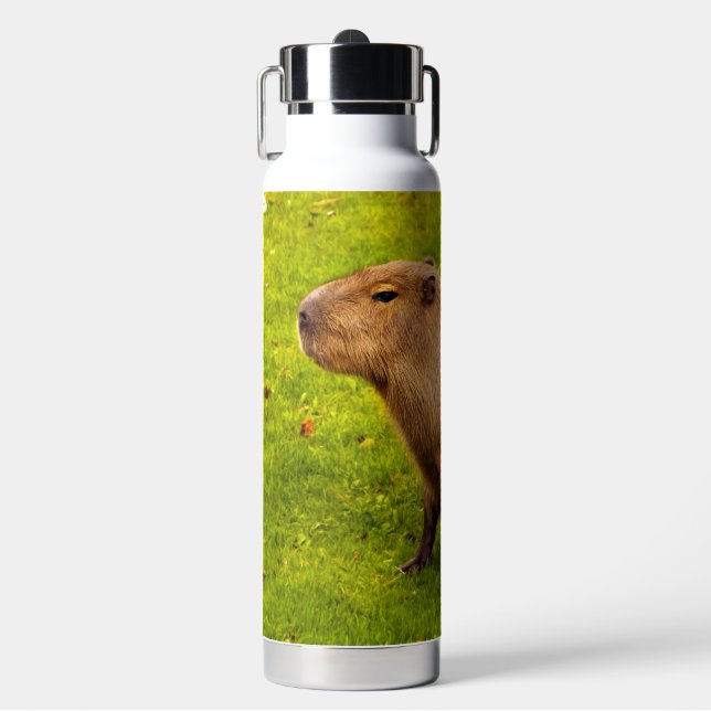 Capybara Trinkflasche (Vorderseite)