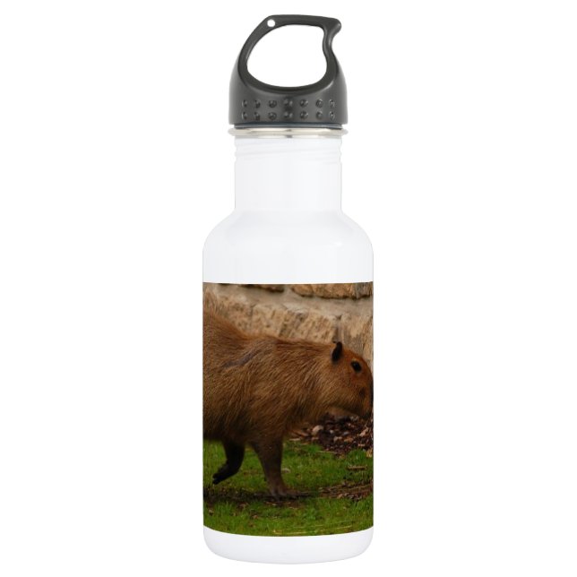 Capybara Trinkflasche (Vorderseite)