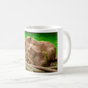Capybara Trio Kaffeetasse