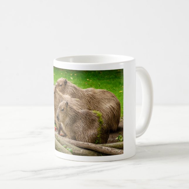 Capybara Trio Kaffeetasse (VorderseiteRechts)