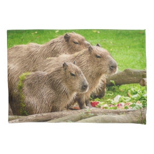 Capybara Trio Kissenbezug