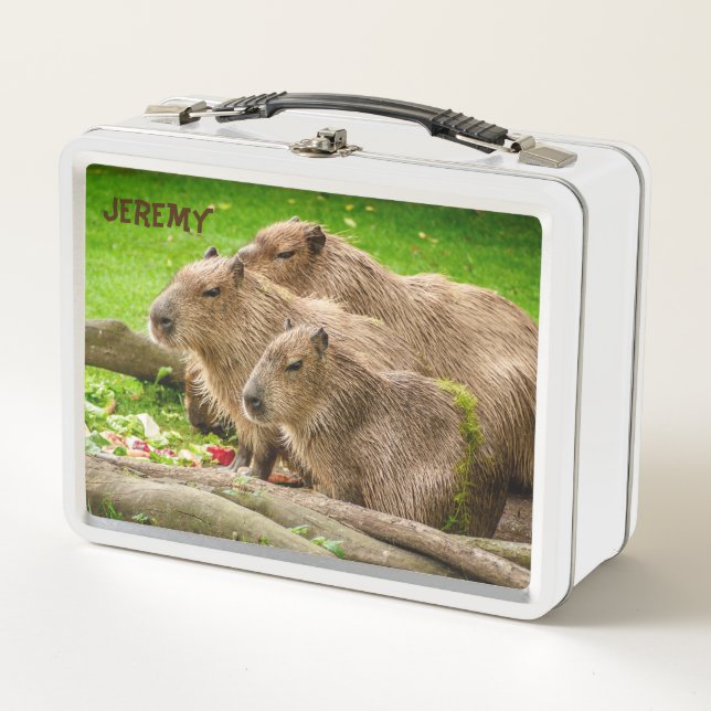 Capybara Trio Metal Lunch Box (Vorderseite)