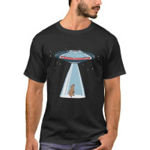 Capybara ufo
