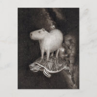 Capybara und Terrapin fliegen durch den Weltraum z