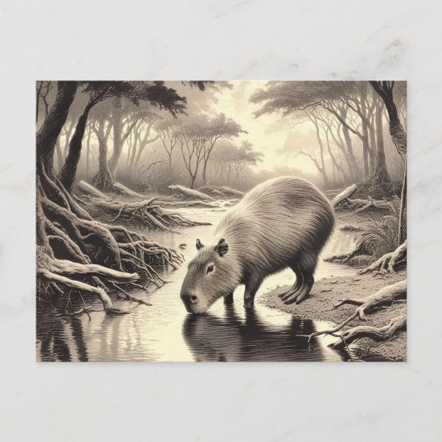 Capybara Vintag Etching Postkarte (Vorderseite)