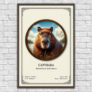 Capybara-Zoologie-Serie Poster
