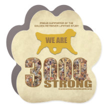 Car Magnet - 3000 stark