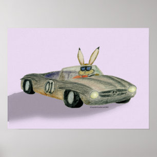Car Racing Rabbit Poster