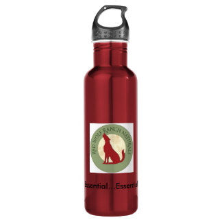 carabiner de bouteille d'eau de l'acier inoxydable