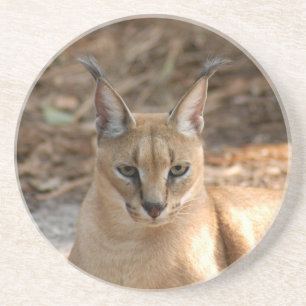 Caracal Luchs-Untersetzer Untersetzer
