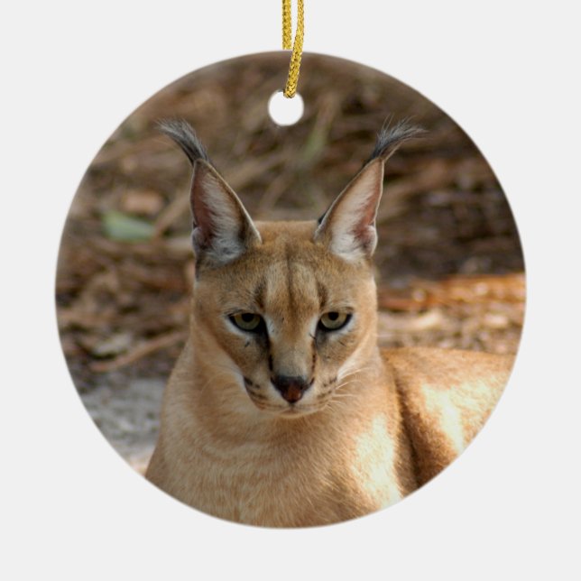 Caracal Luchs-Weihnachtsverzierung Keramikornament (Vorne)