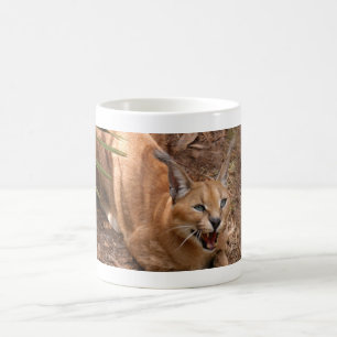 CaracalBCR004 Kaffeetasse