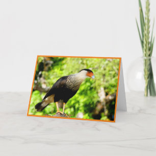 Caracara-Faltkarte Dankeskarte
