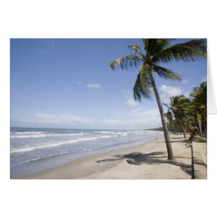 Caraïbes - Trinidad - Manzanilla Beach sur 2