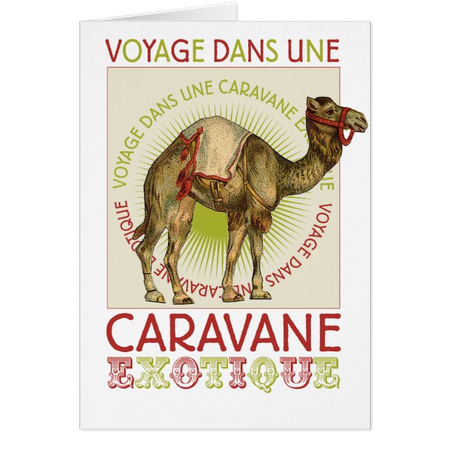 Caravan Camel (Vorne)
