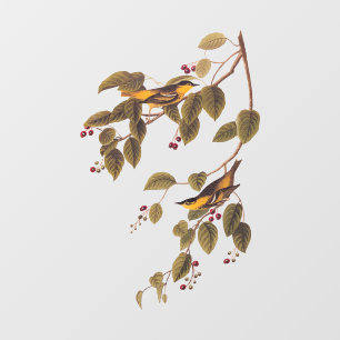 Carbonated Warbler Audubon Bird Fensteraufkleber