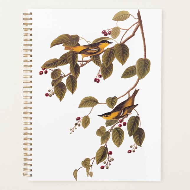 Carbonated Warbler Audubon Bird Planer (Vorderseite)