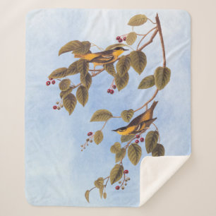 Carbonated Warbler Audubon Bird Sherpadecke