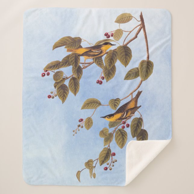 Carbonated Warbler Audubon Bird Sherpadecke (Vorderseite)