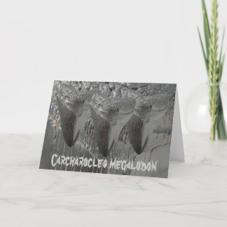 Carcharocles megalodon karte