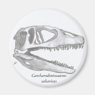 Carcharodontosaurus saharicus-Schädelmagnet Magnet