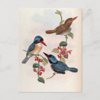 Carcineutes Melanops (Blaues Kingfisher) Postkarte