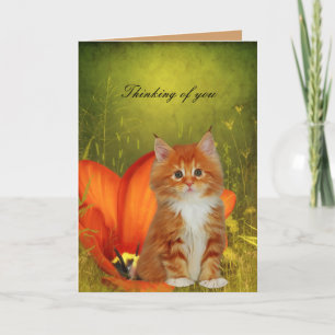Card White Cat Kitten Blume "Denken Sie an Sie" Karte