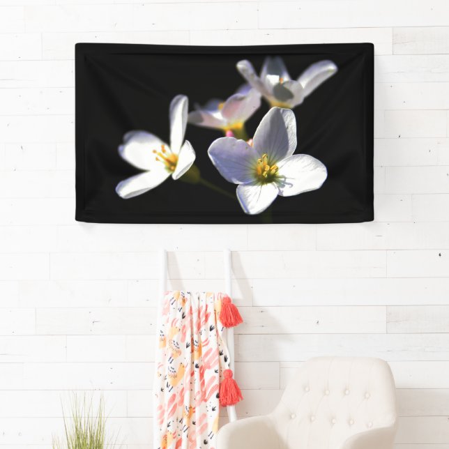 Cardamine Pratensis Blume bnrcna Banner (Insitu)