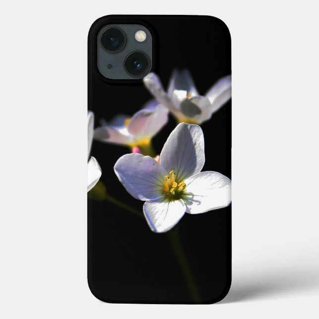 Cardamine Pratensis Blume iphcnm Case-Mate iPhone Hülle (Rückseite)