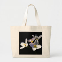 Cardamine Pratensis Blume jtcnm