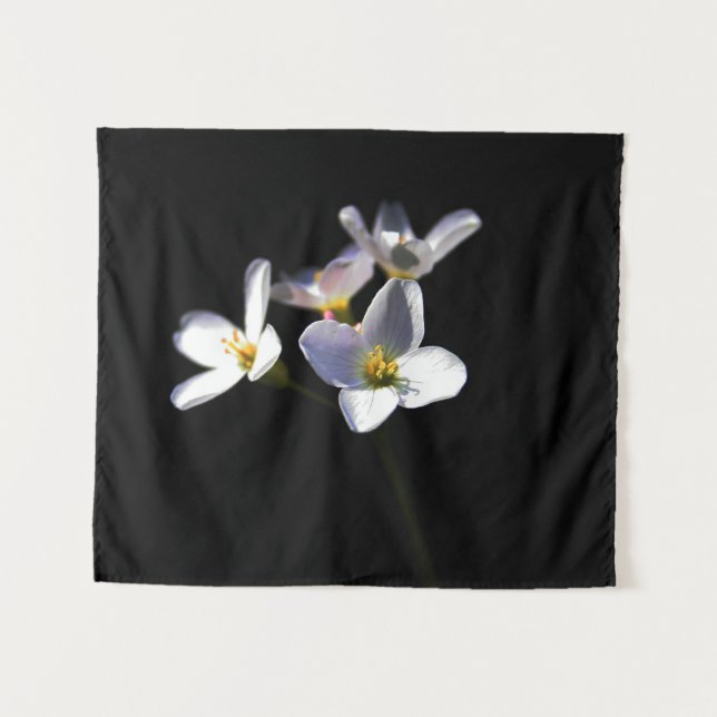 Cardamine Pratensis Blume mit Wandteppich (Vorderseite (Horizontal))